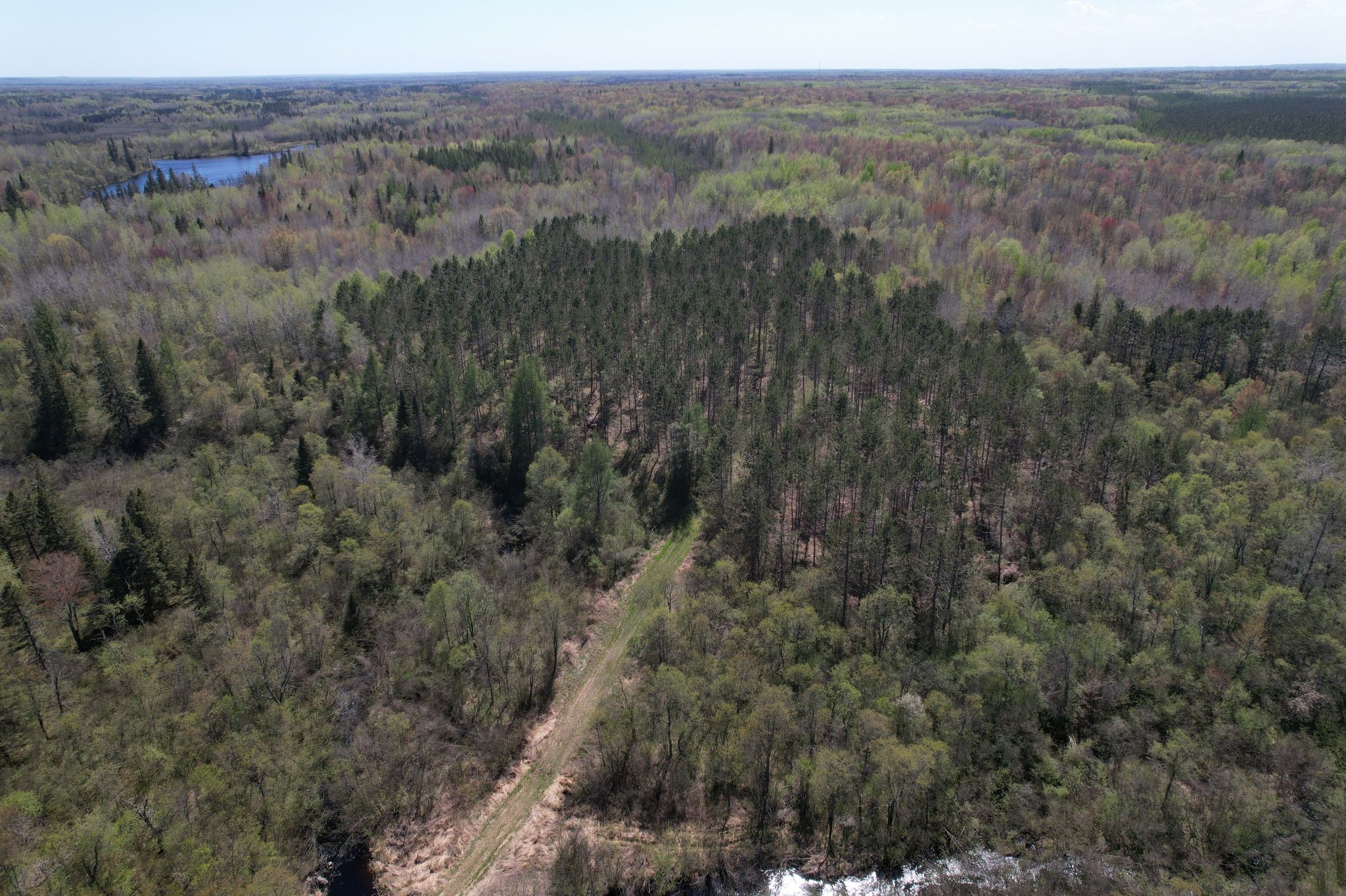 Off Hay Creek Road Prentice, WI 54556 - Photo 11 of 44