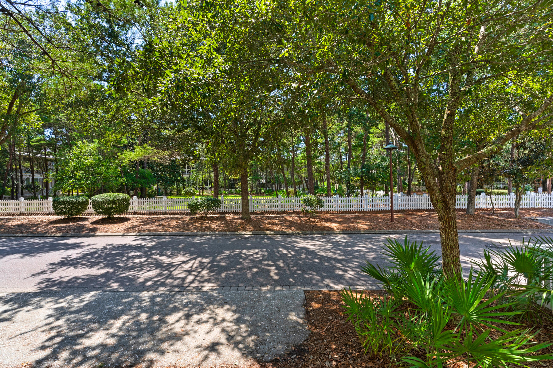 87 Salt Box Lane West Inlet Beach, FL 32461 - Photo 9 of 122 a view of a tree in the middle of a yard