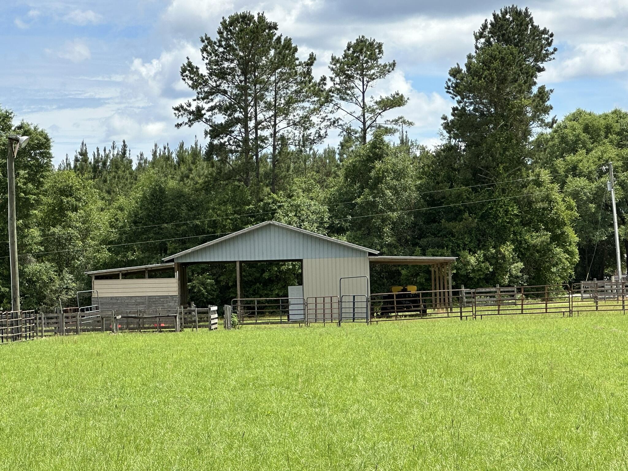 20 / New Ebenezer Road Florala, AL 36442 - Photo 35 of 46 IMG_9926