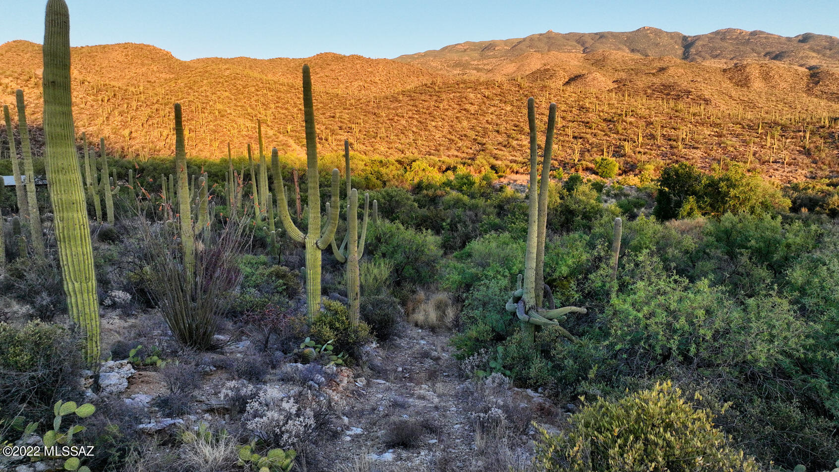 14770 East Redington Road Tucson, AZ 85749 - Photo 11 of 31