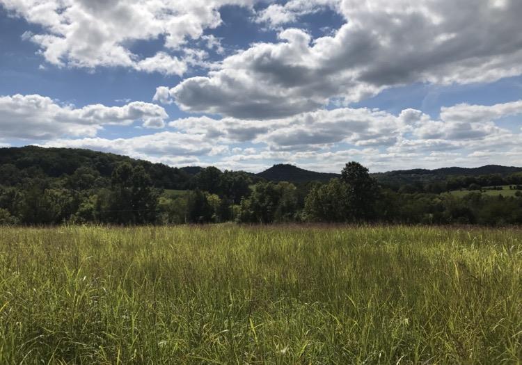 2 Coon Branch Rd Mount Lebanon, TN 37087 - Photo 1 of 7