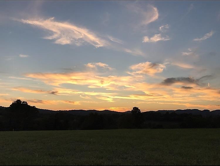 2 Coon Branch Rd Mount Lebanon, TN 37087 - Photo 2 of 7
