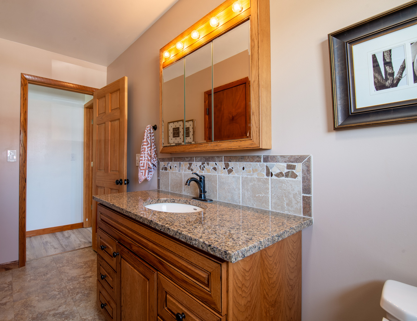 9109 Messmer Road Savanna, IL 61074 - Photo 10 of 31 a bathroom with a granite countertop sink and a mirror
