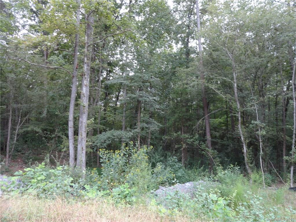 13 Hannon Farm Road, Unit 13A Fort Mill, SC 29715 - Photo 2 of 2 a view of forest