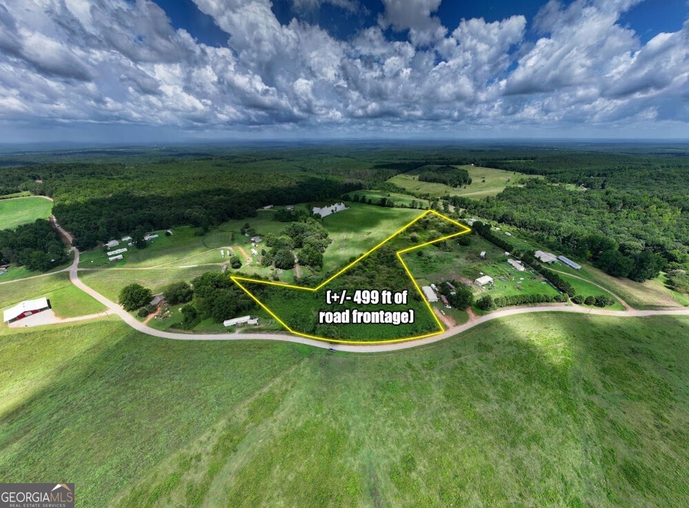 0 County Road 667 Ranburne, AL 36273 - Photo 2 of 29