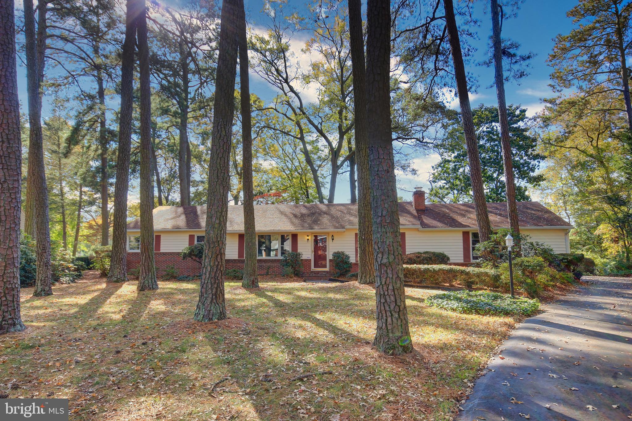 516 Pine Bluff Road Salisbury, MD 21801 - Photo 3 of 20 Gallery Image 3
