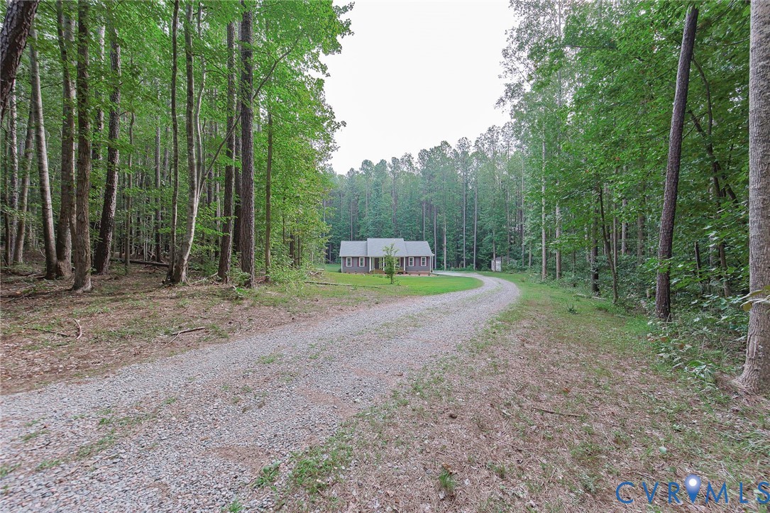19151 Poor House Road Amelia Court House, VA 23002 - Photo 4 of 39 Gravel drive framed by mature trees, leading to a