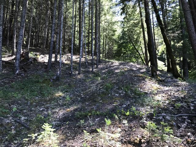98 Ruth Lake, Unit NONE Mad River, CA 95552 - Photo 12 of 22
