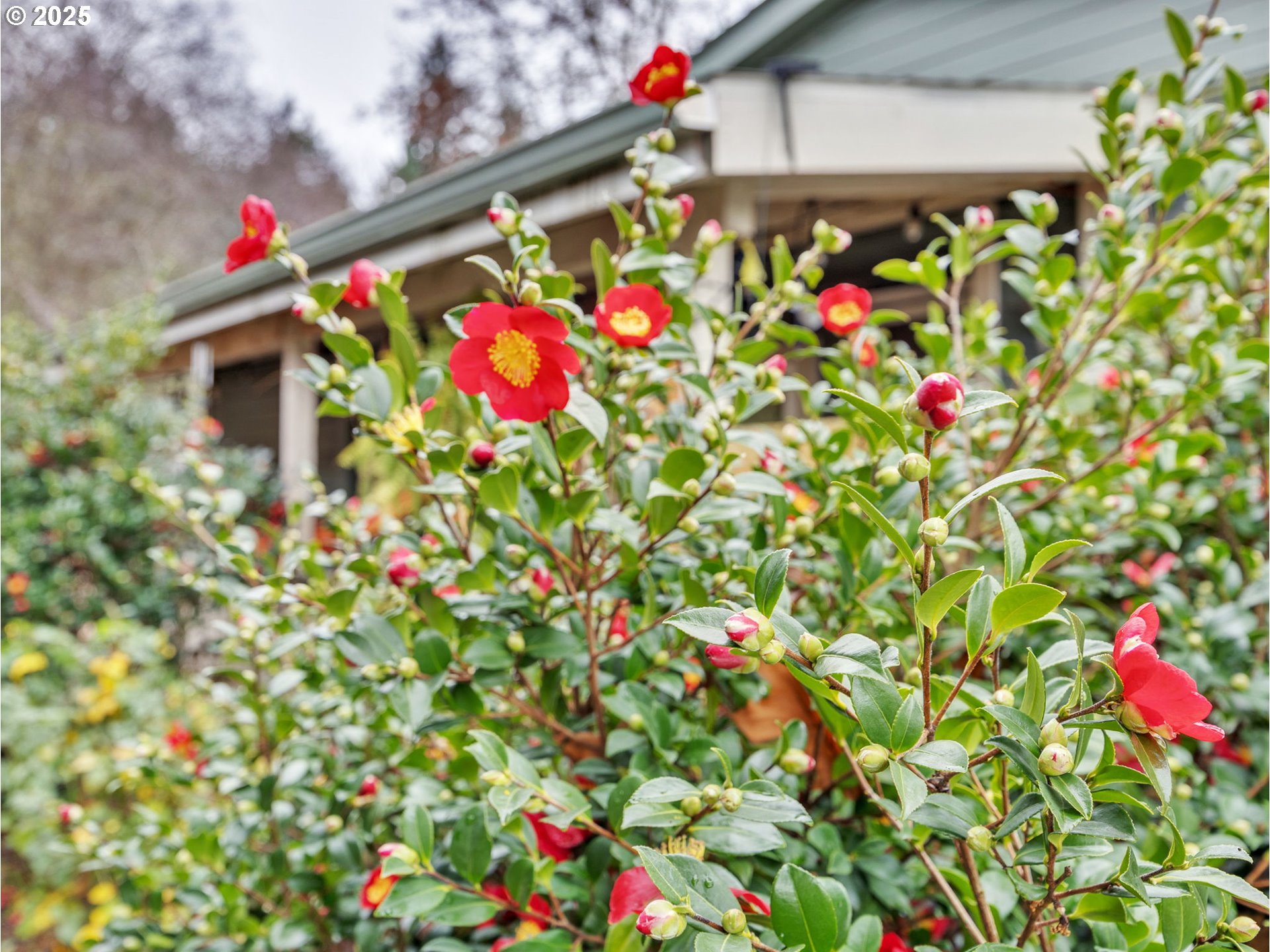 13620 Southwest Beef Bend Road, Unit 66 Portland, OR 97224 - Photo 32 of 33
