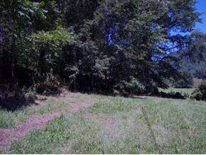 2 Mc Curry Road Unicoi, TN 37692 - Photo 3 of 6 Photo 3