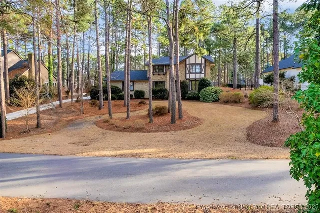 a view of a park with tree s