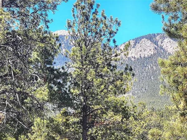 $15,000 | 116 Neal Street, Bailey, CO 80421