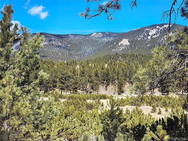 $15,000 | 116 Neal Street, Bailey, CO 80421