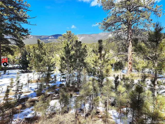 $15,000 | 116 Neal Street, Bailey, CO 80421