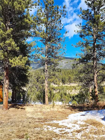 $15,000 | 116 Neal Street, Bailey, CO 80421