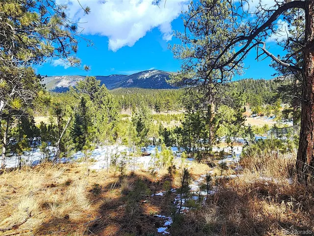 $15,000 | 116 Neal Street, Bailey, CO 80421