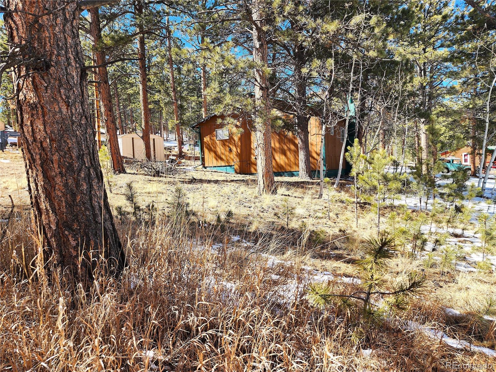 116 Neal Street Bailey, CO 80421 - Photo 6 of 11