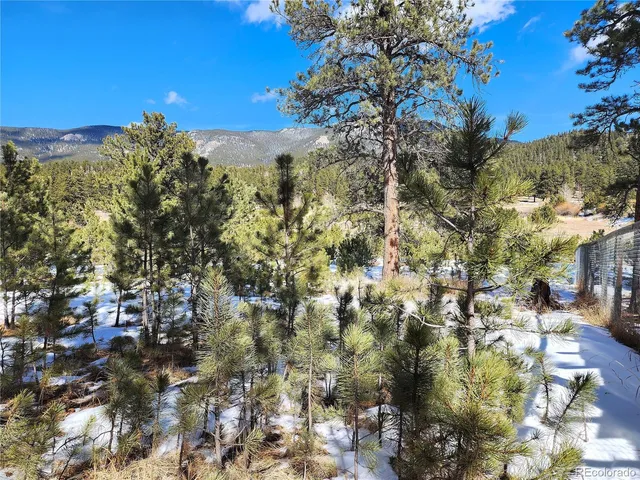 $15,000 | 116 Neal Street, Bailey, CO 80421