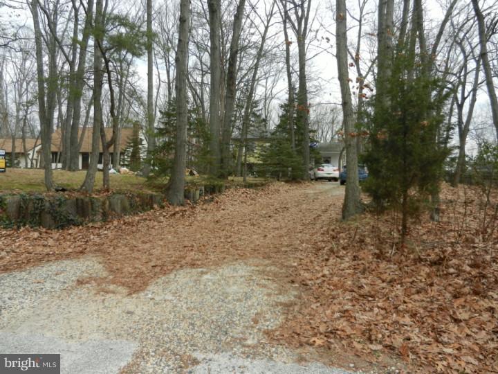 808 Old Indian Mills Road Tabernacle, NJ 08088 - Photo 3 of 5 Driveway
