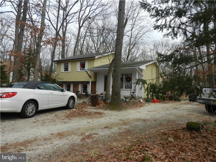 808 Old Indian Mills Road Tabernacle, NJ 08088 - Photo 4 of 5 Driveway