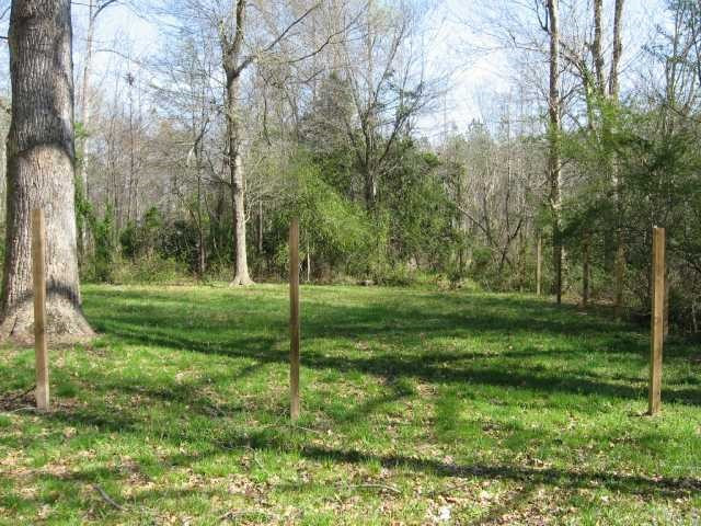 5029 Royal Acres Road Raleigh, NC 27610 - Photo 8 of 12 Yard
