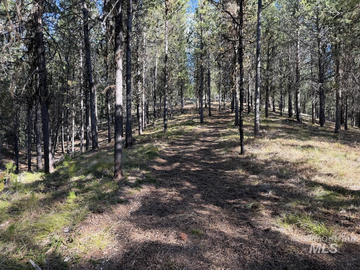 211 Pointes Road Cascade, ID 83611 - Photo 18 of 22