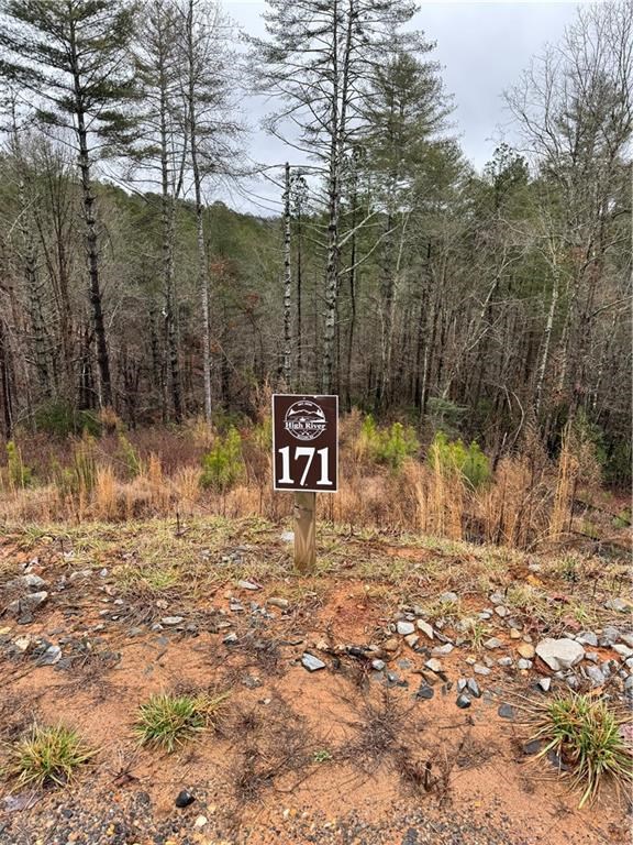171 Ridgeline Court Ellijay, GA 30540 - Photo 22 of 35 Gallery Image 22