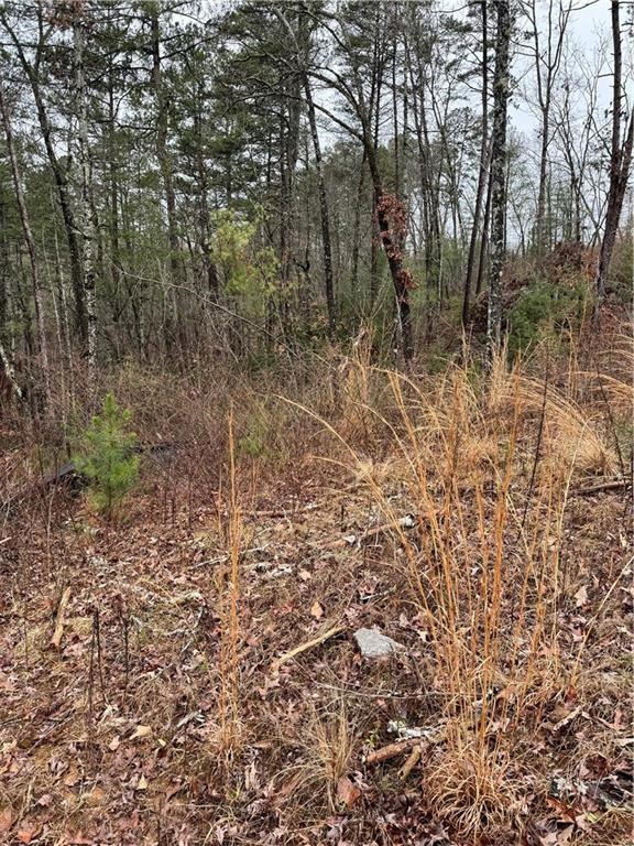 171 Ridgeline Court Ellijay, GA 30540 - Photo 25 of 35 Gallery Image 25