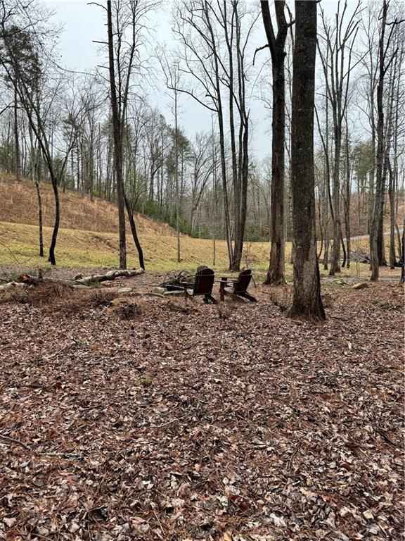171 Ridgeline Court Ellijay, GA 30540 - Photo 32 of 35 Gallery Image 32