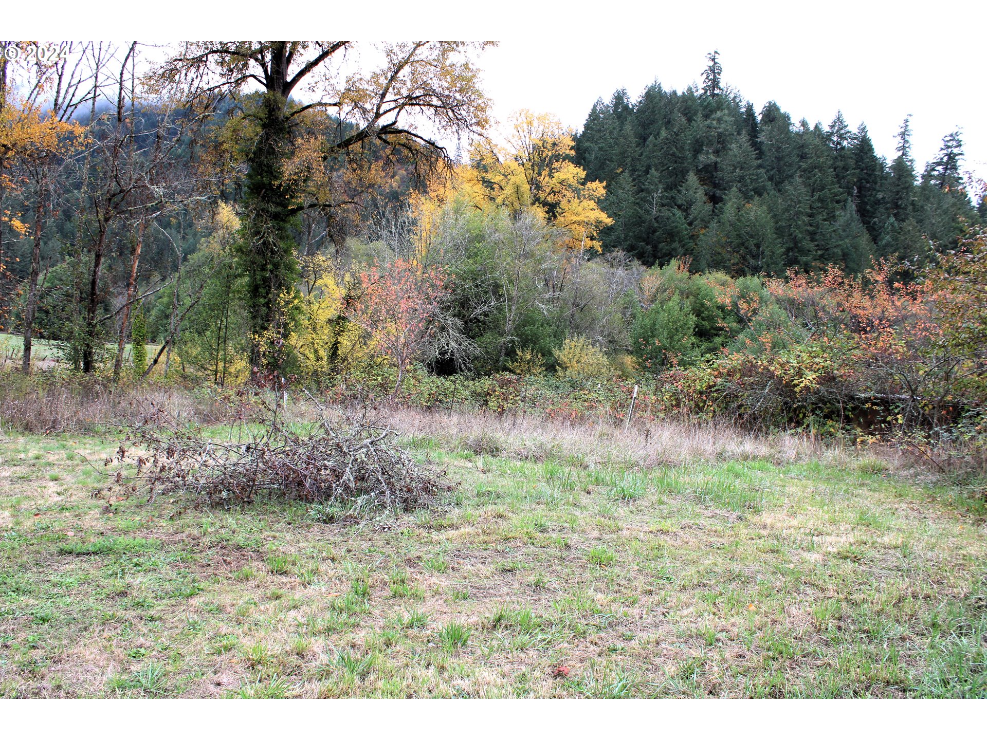 7733 North Myrtle Road Myrtle Creek, OR 97457 - Photo 33 of 40 Gallery Image 33