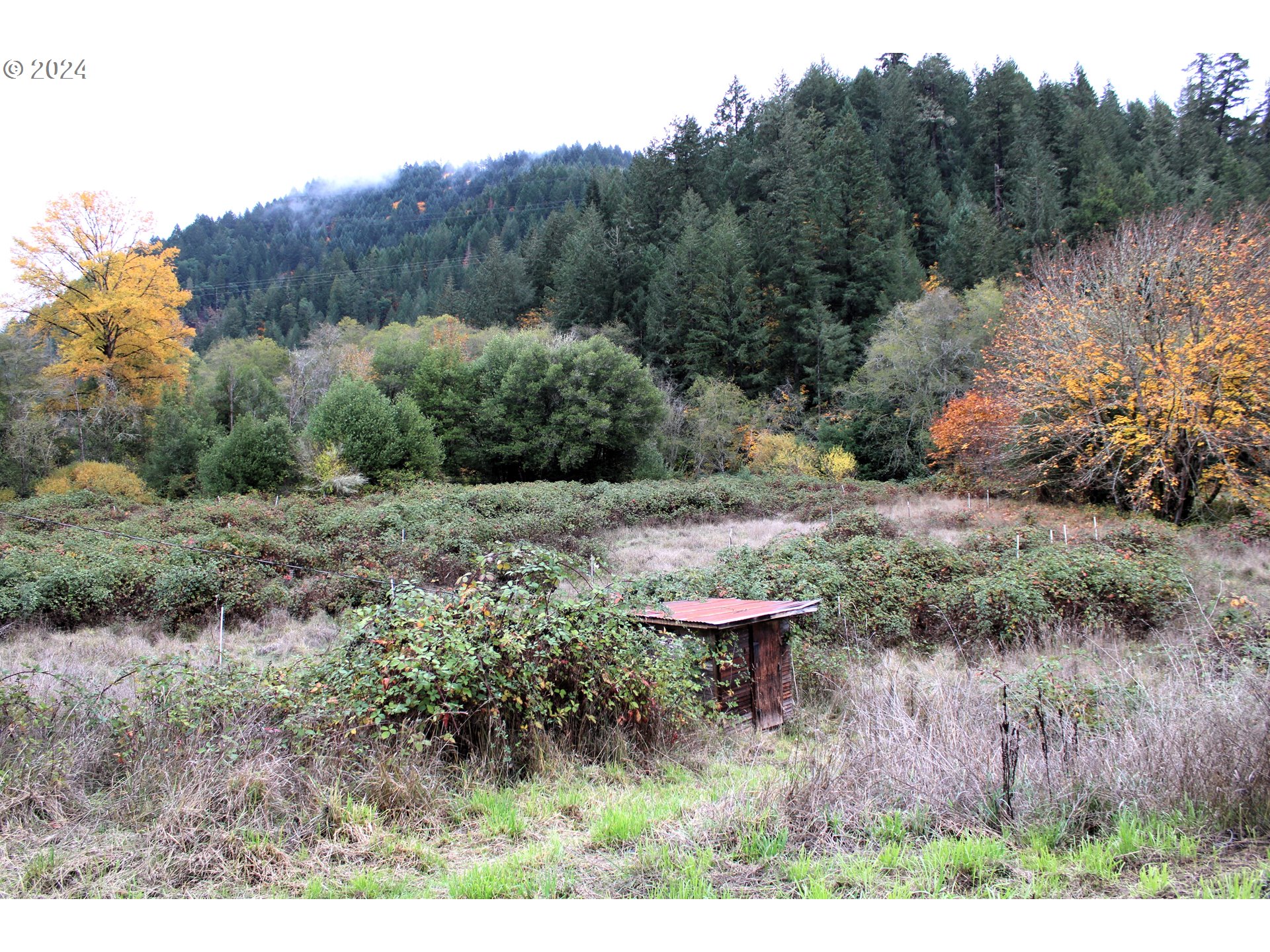 7733 North Myrtle Road Myrtle Creek, OR 97457 - Photo 35 of 40 Gallery Image 35