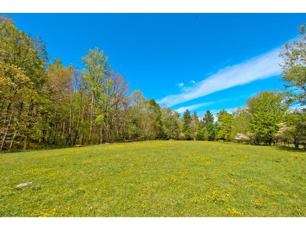 0 Cates Road Hartford, TN 37753 - Photo 13 of 24 Photo 13