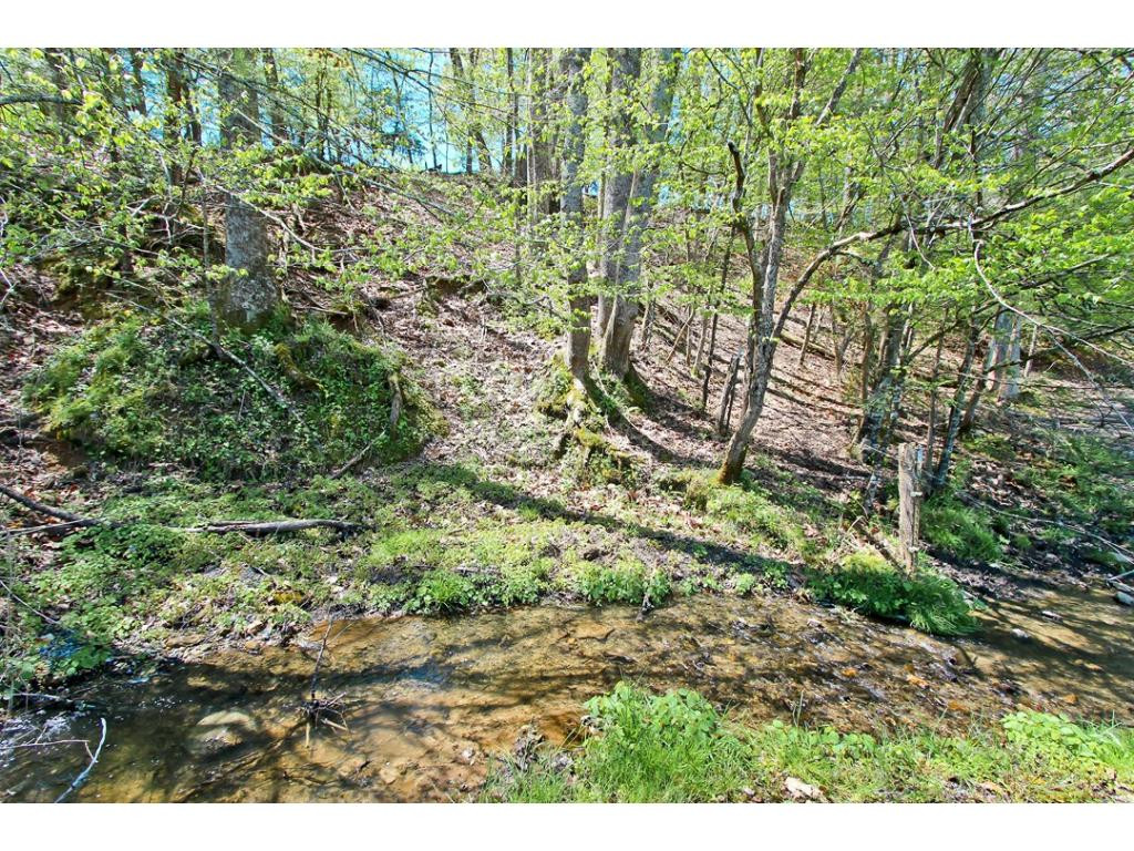 0 Cates Road Hartford, TN 37753 - Photo 18 of 24 Photo 18
