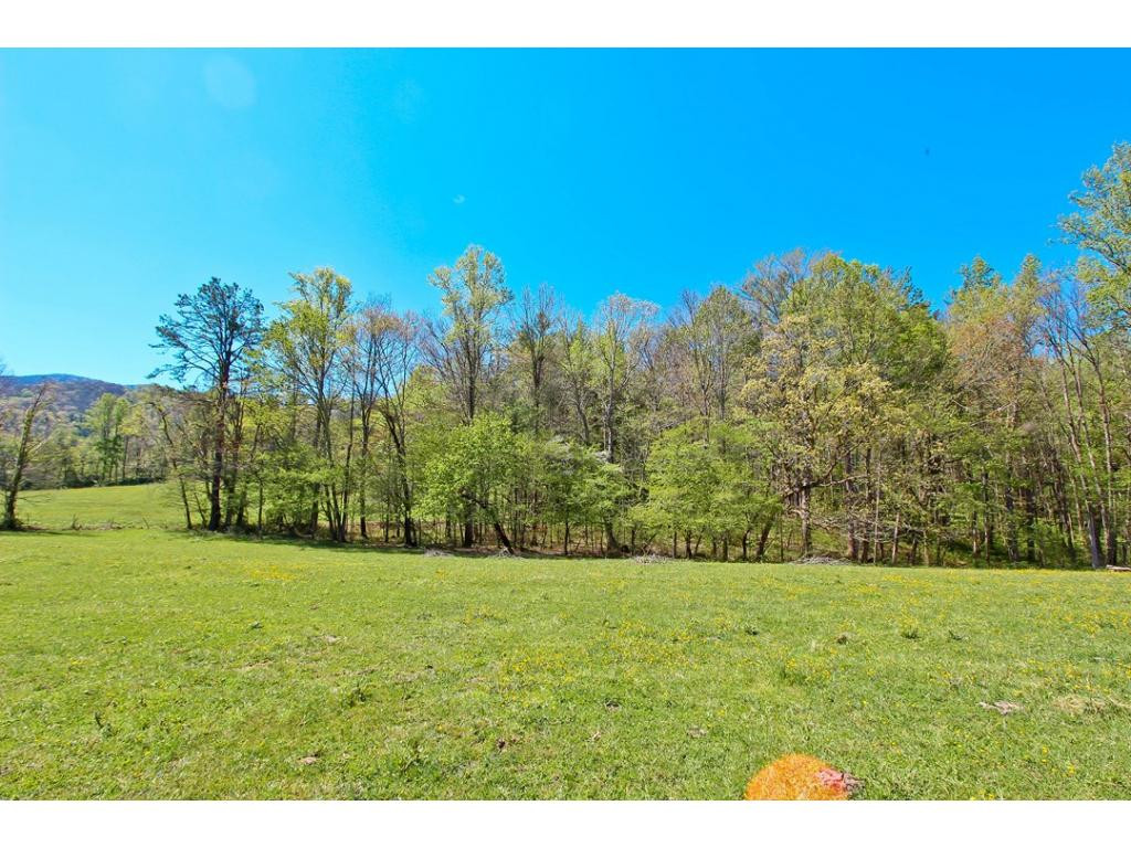 0 Cates Road Hartford, TN 37753 - Photo 10 of 24 Photo 10
