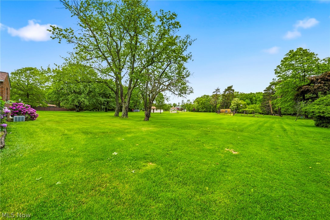 725 Chestnut Road Seven Hills, OH 44131 - Photo 30 of 43
