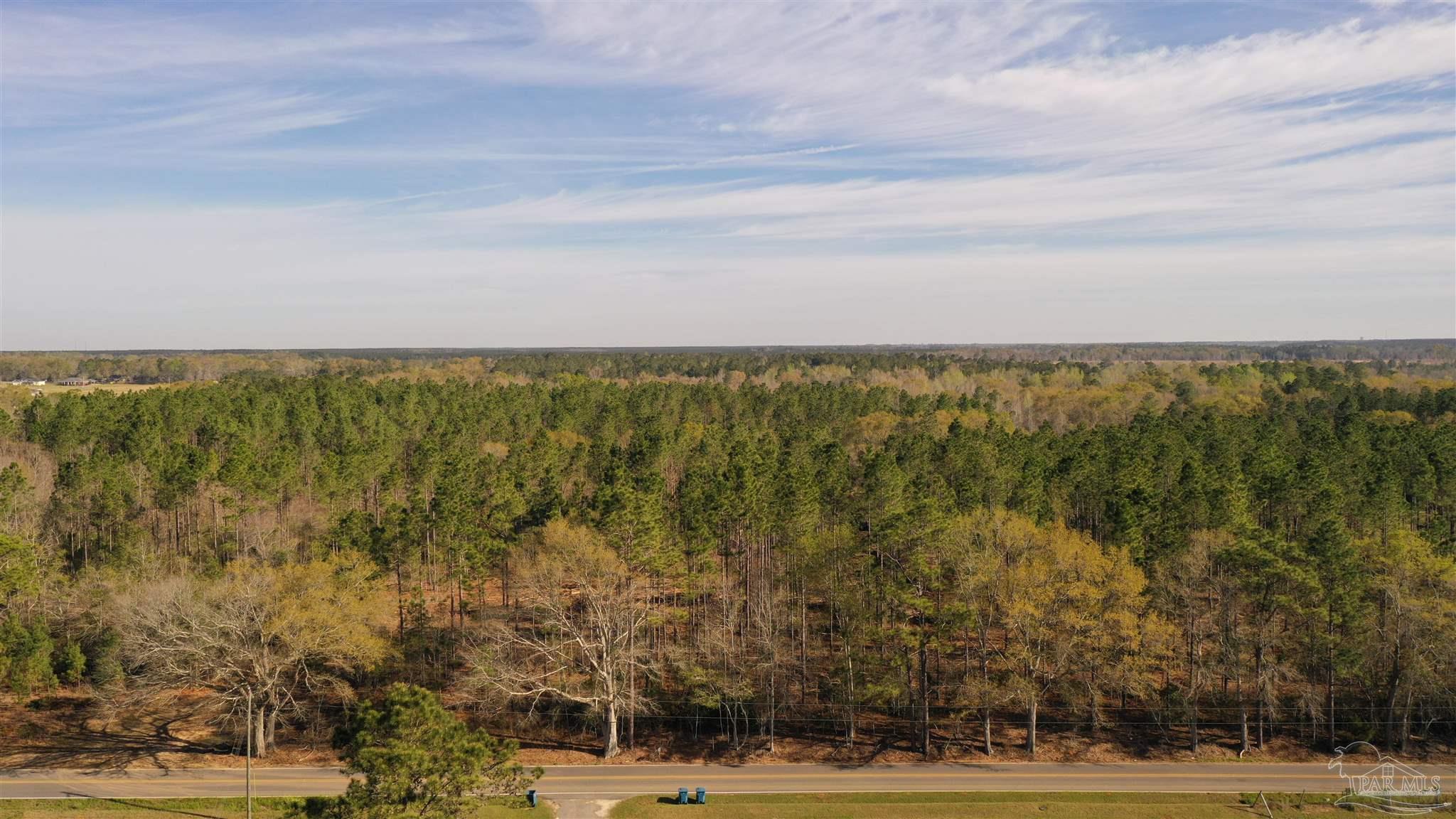 0 Deere Creek Road Atmore, AL 36502 - Photo 1 of 26