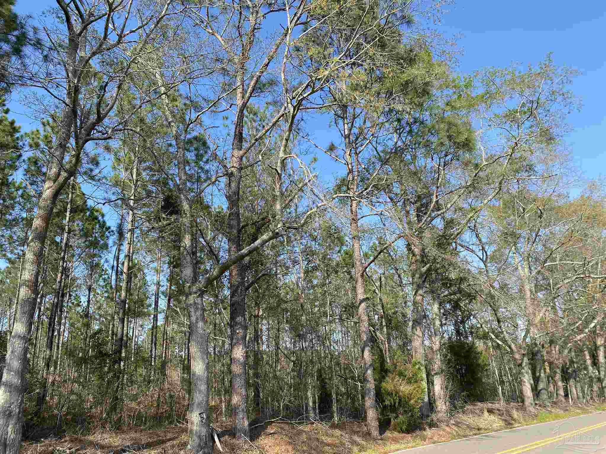 0 Deere Creek Road Atmore, AL 36502 - Photo 12 of 26
