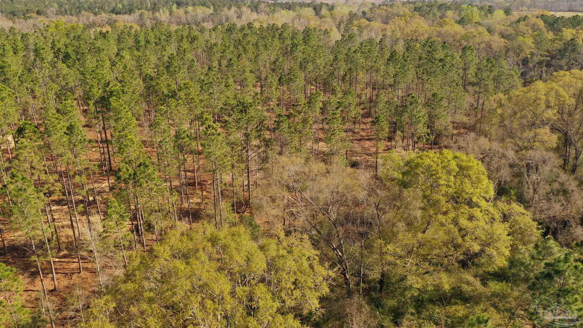 0 Deere Creek Road Atmore, AL 36502 - Photo 14 of 26