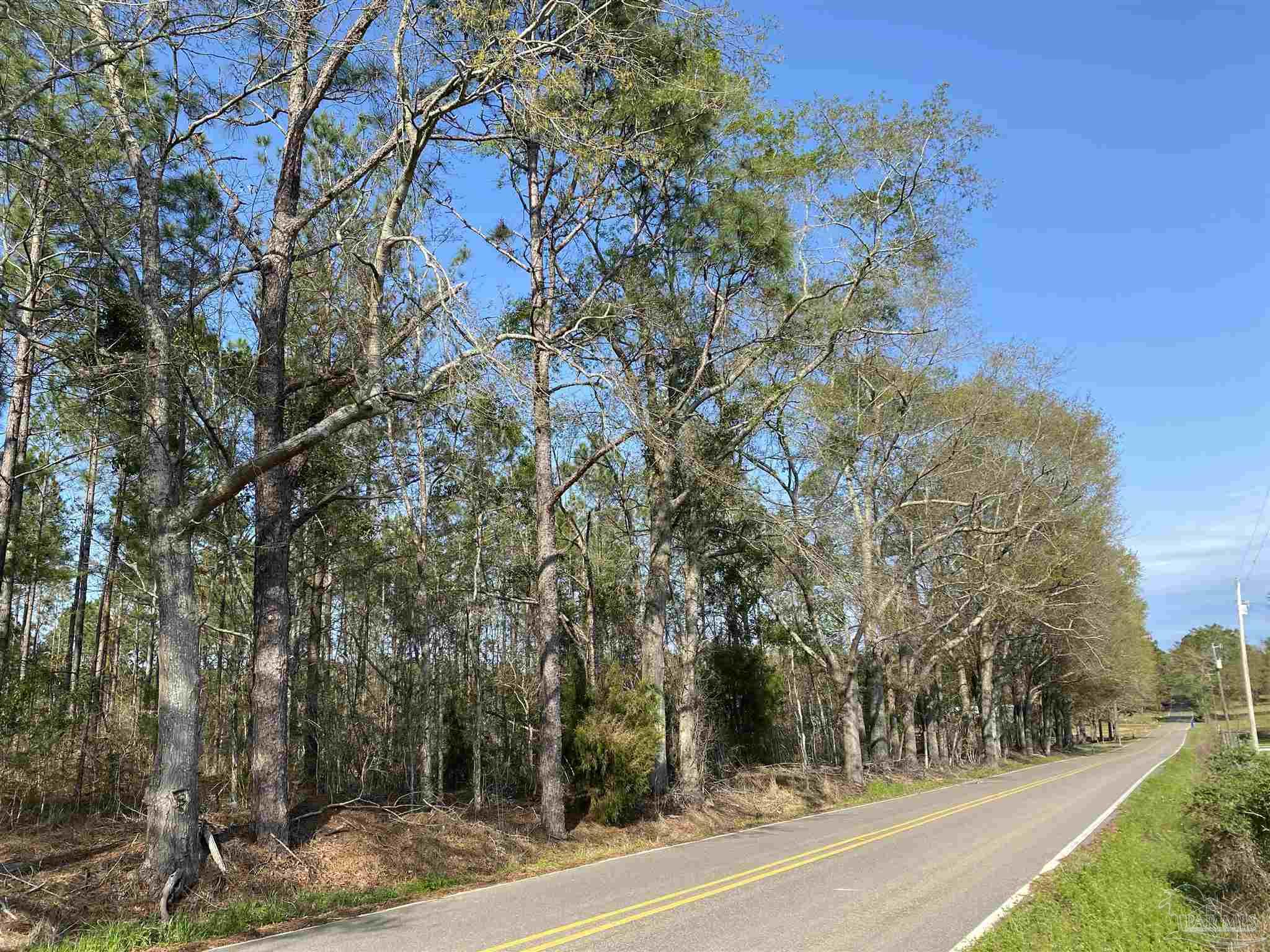 0 Deere Creek Road Atmore, AL 36502 - Photo 15 of 26