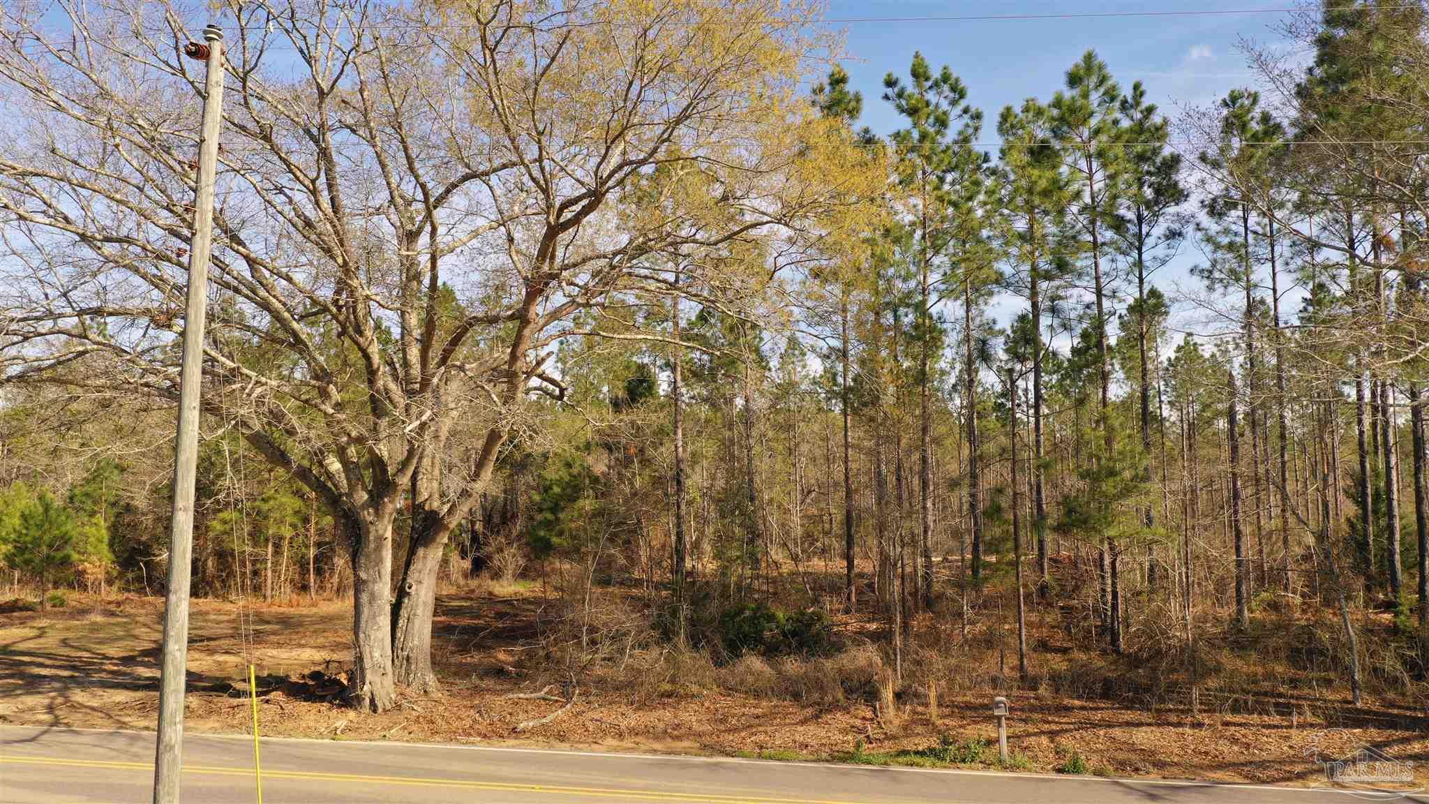 0 Deere Creek Road Atmore, AL 36502 - Photo 16 of 26
