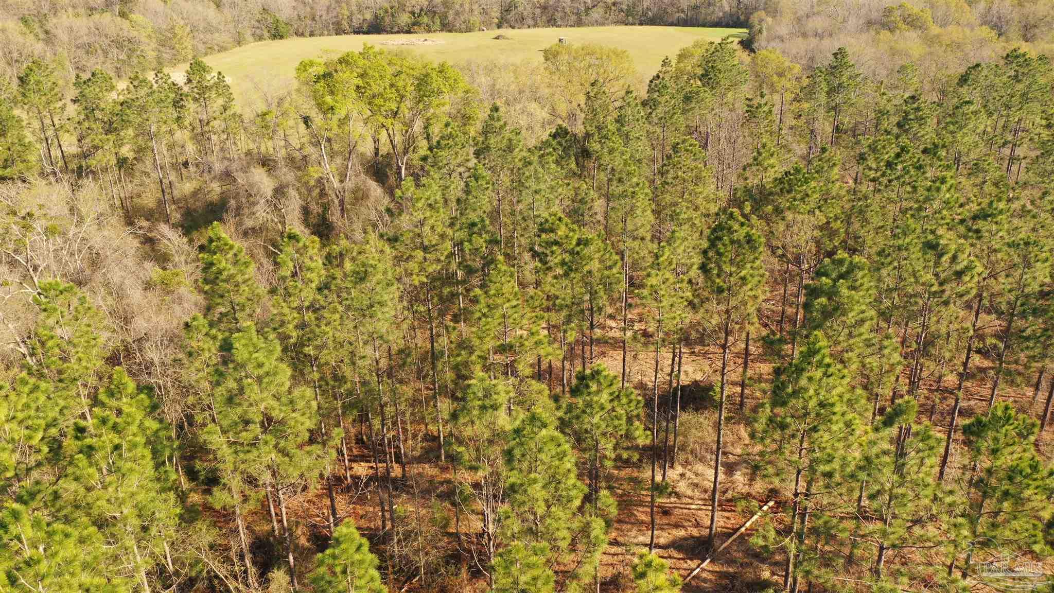 0 Deere Creek Road Atmore, AL 36502 - Photo 17 of 26