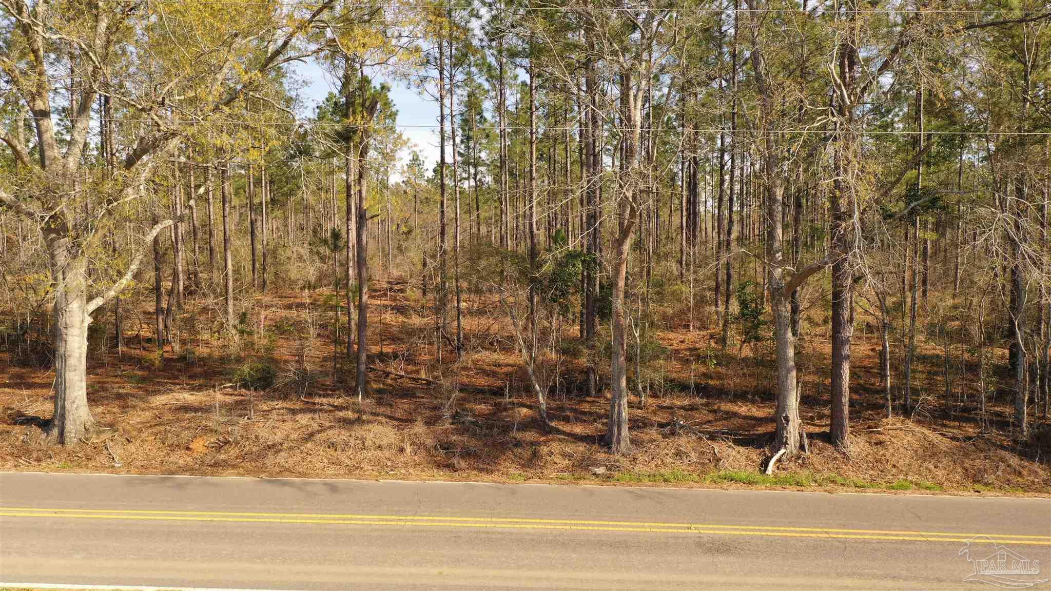 0 Deere Creek Road Atmore, AL 36502 - Photo 20 of 26