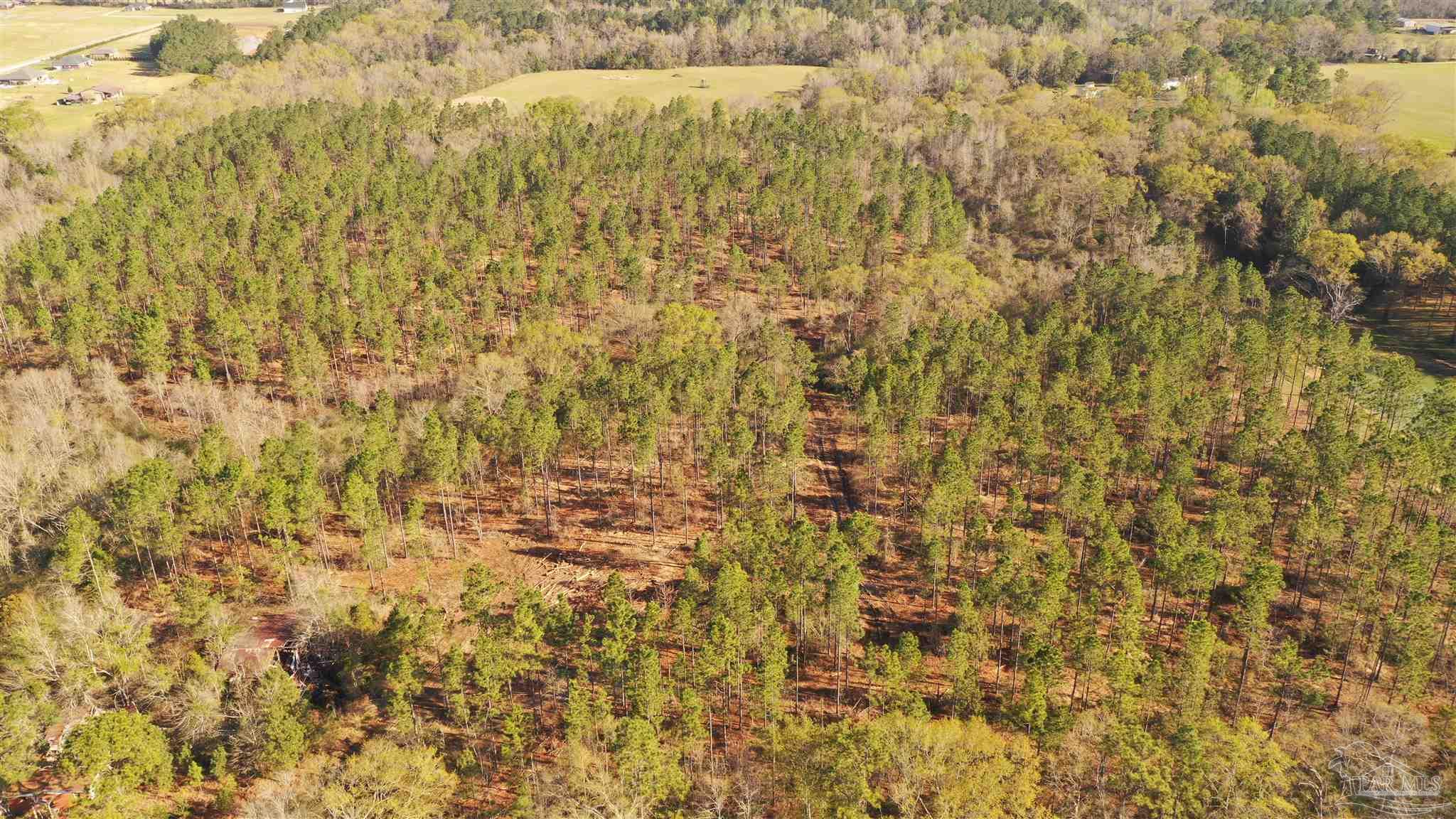 0 Deere Creek Road Atmore, AL 36502 - Photo 2 of 26