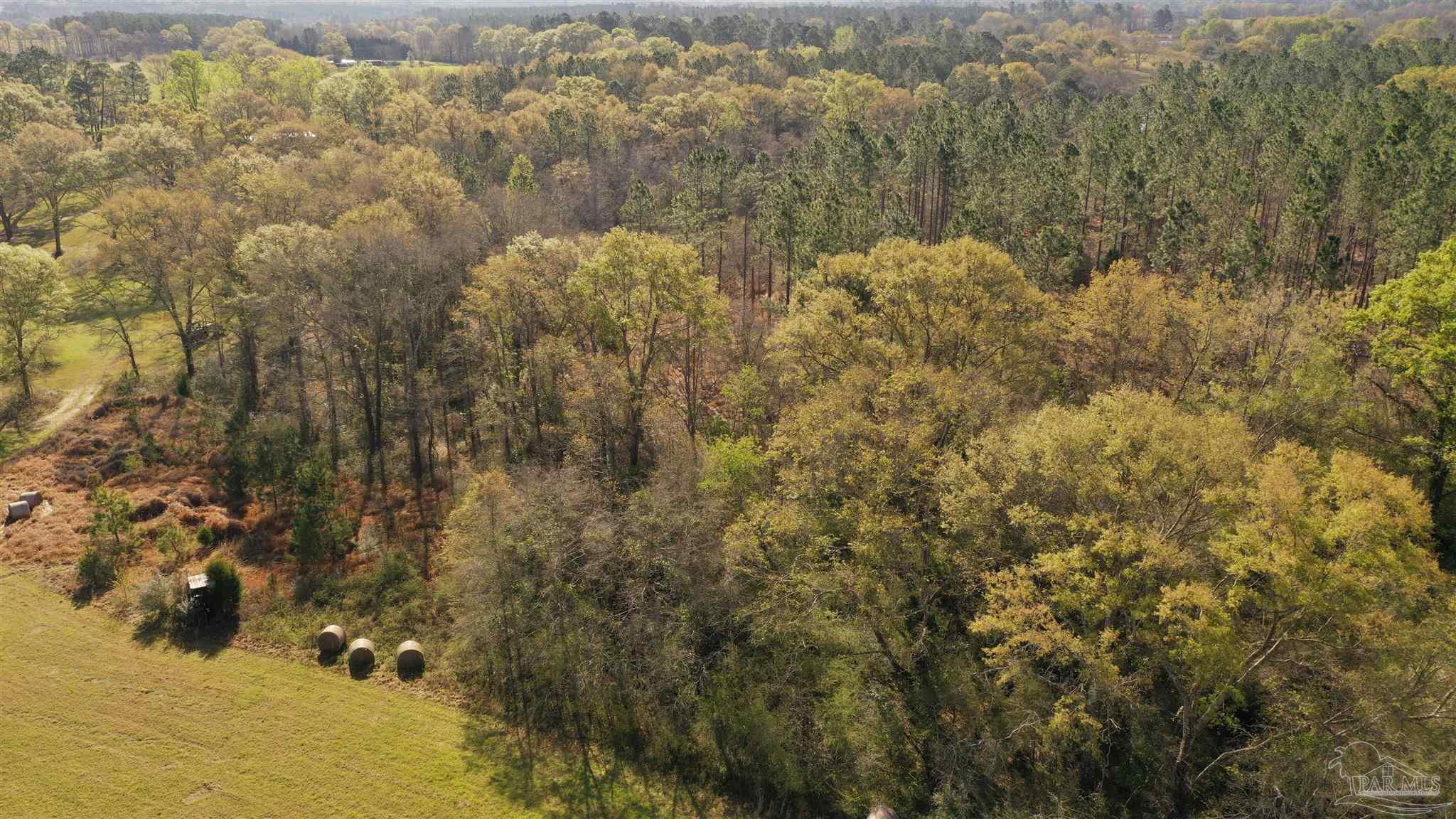 0 Deere Creek Road Atmore, AL 36502 - Photo 21 of 26