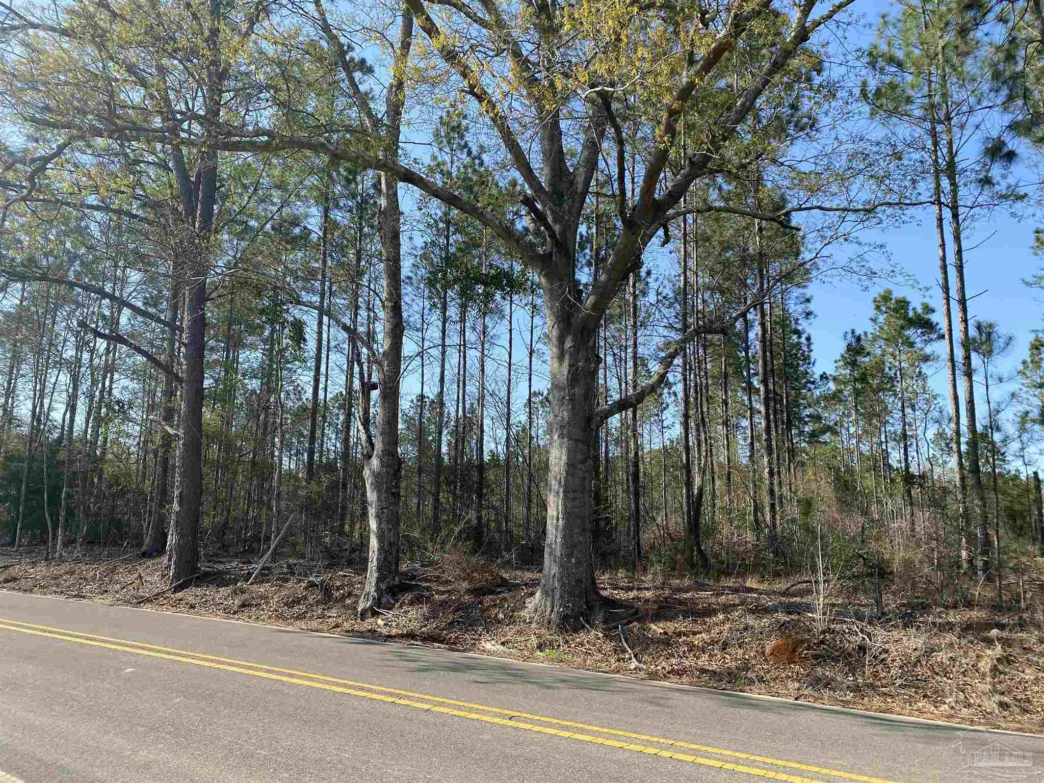 0 Deere Creek Road Atmore, AL 36502 - Photo 22 of 26