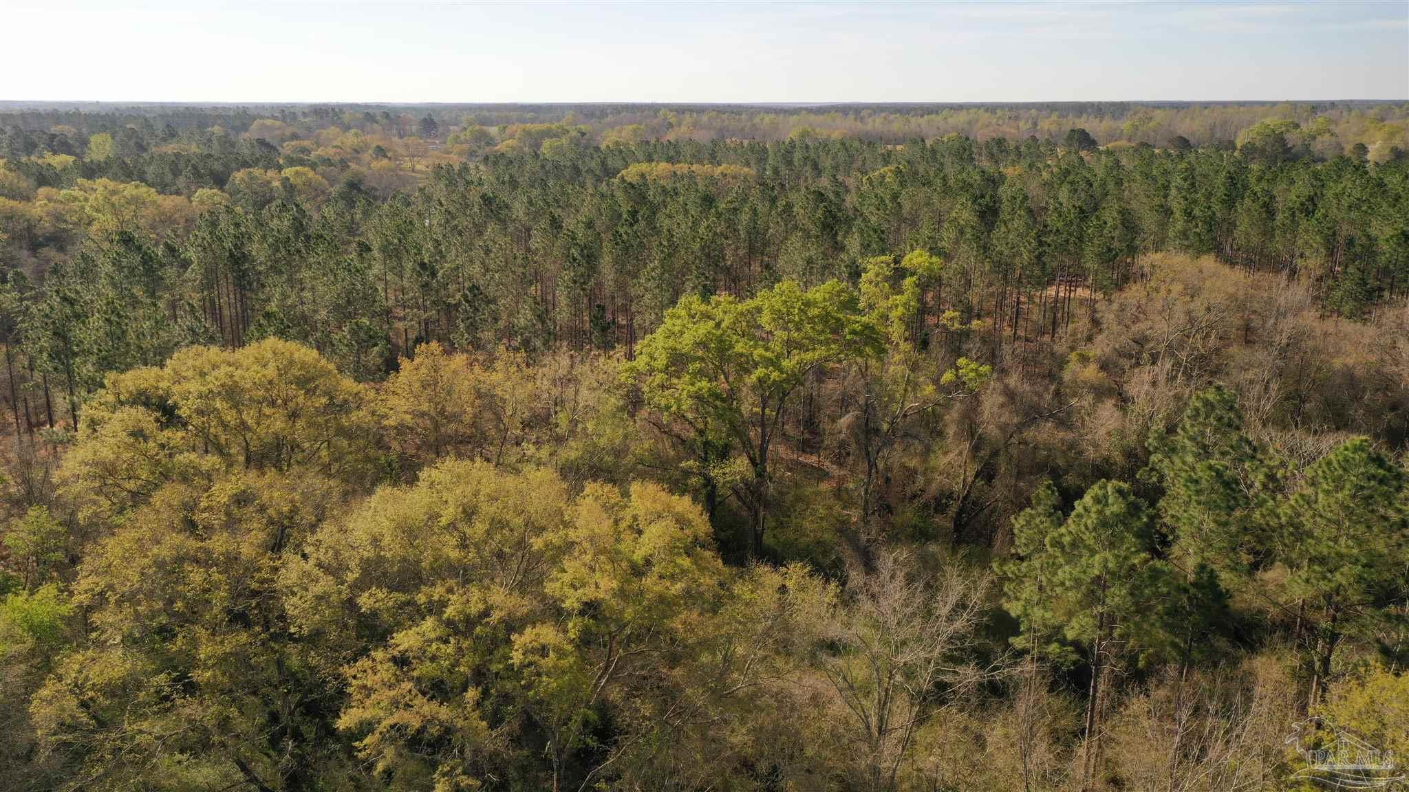 0 Deere Creek Road Atmore, AL 36502 - Photo 23 of 26