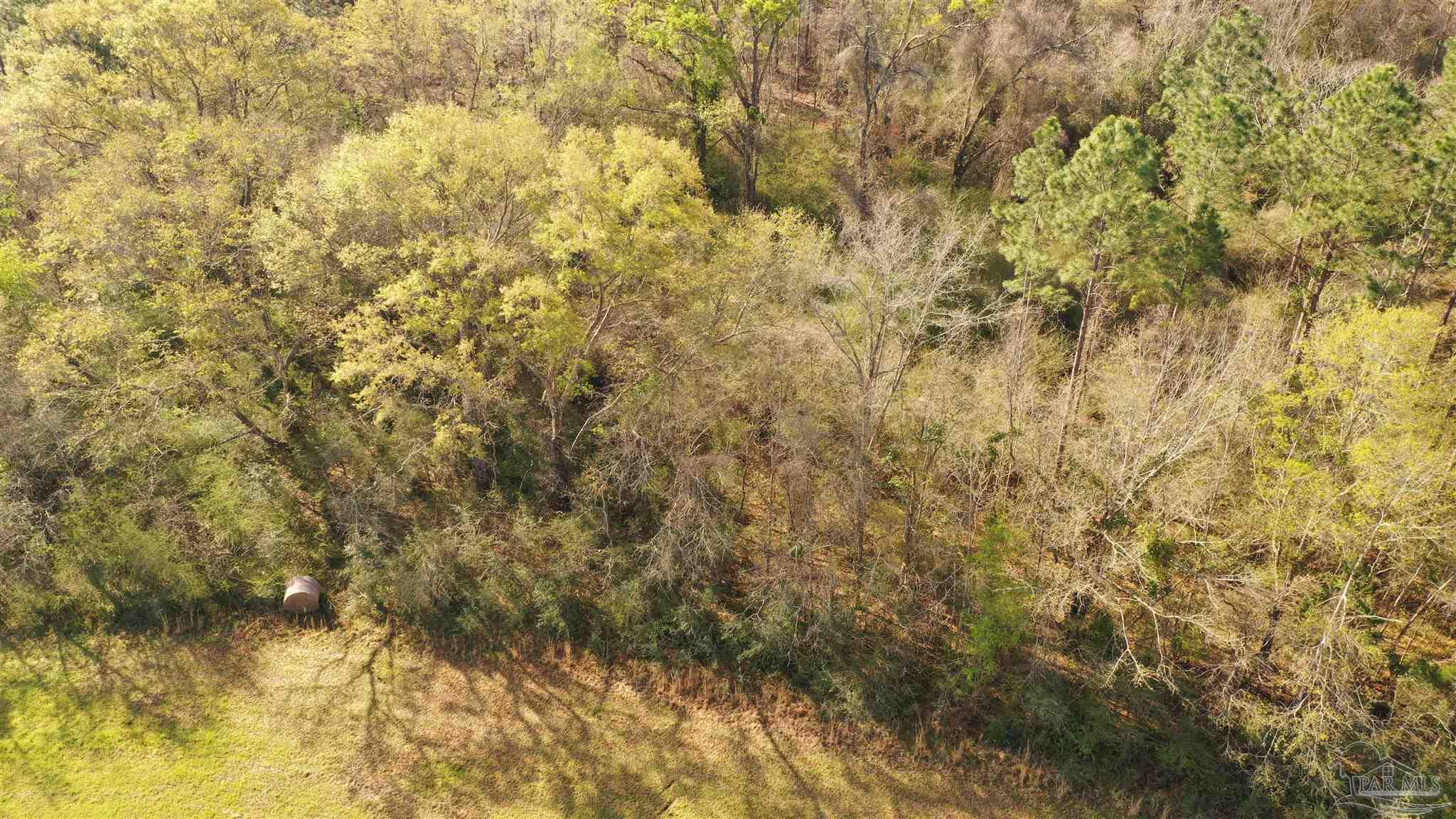 0 Deere Creek Road Atmore, AL 36502 - Photo 24 of 26