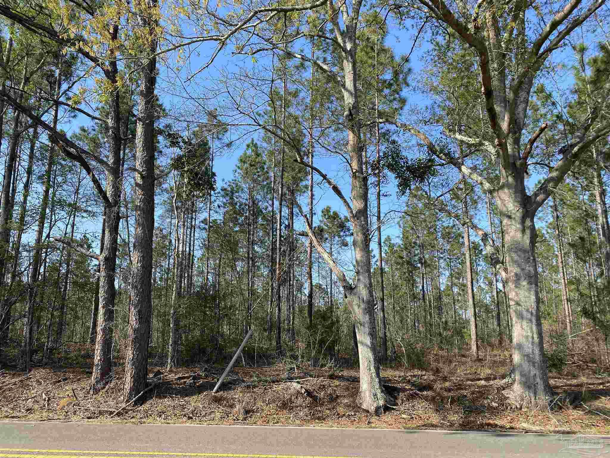 0 Deere Creek Road Atmore, AL 36502 - Photo 26 of 26