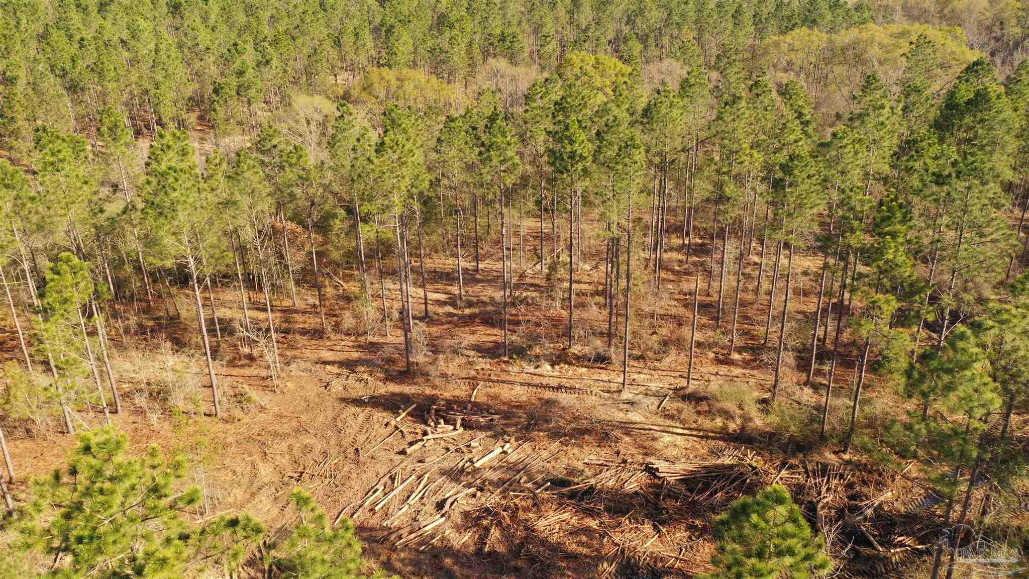 0 Deere Creek Road Atmore, AL 36502 - Photo 3 of 26