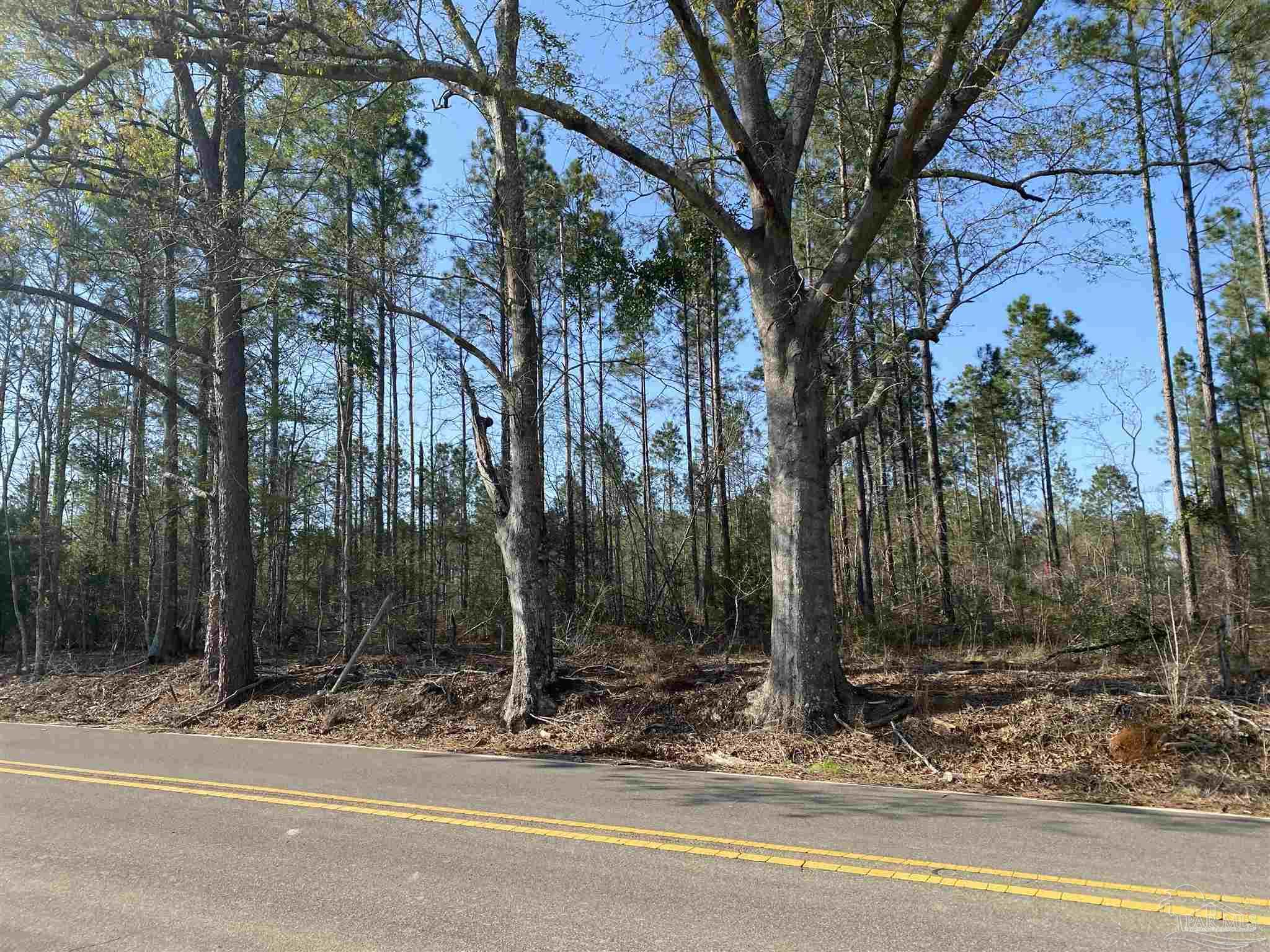 0 Deere Creek Road Atmore, AL 36502 - Photo 4 of 26